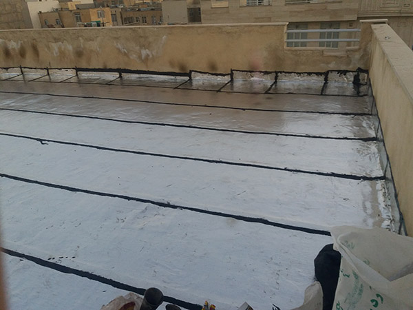 ایزوگام در گیشا